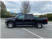 2024 Ford F-150 XLT (Stk: M25-0229P) in Chilliwack - Image 3 of 18