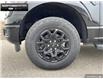 2025 Ford F-150 XLT (Stk: 5F173502) in Brantford - Image 6 of 23
