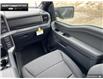 2025 Ford F-150 XLT (Stk: 5F173502) in Brantford - Image 23 of 23