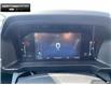 2025 Ford Ranger XLT (Stk: 5RG03387) in Brantford - Image 13 of 23