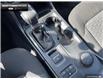 2025 Ford Ranger XLT (Stk: 5RG03387) in Brantford - Image 16 of 23