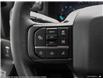 2025 Ford F-150 XLT (Stk: S-1110) in Calgary - Image 13 of 20