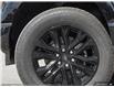 2025 Ford F-150 XLT (Stk: S-383) in Calgary - Image 8 of 24