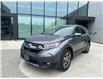 2019 Honda CR-V EX-L (Stk: 35427A) in East York - Image 9 of 20