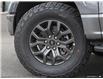 2025 Ford F-150 Tremor (Stk: S-125) in Calgary - Image 8 of 23