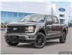 2025 Ford F-150 XLT (Stk: S-470) in Calgary - Image 1 of 23