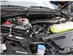 2025 Ford F-150 XLT (Stk: S-470) in Calgary - Image 6 of 23