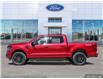 2025 Ford F-150 XLT (Stk: S-129) in Calgary - Image 3 of 23