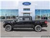 2025 Ford F-150 Tremor (Stk: S-354) in Calgary - Image 3 of 24