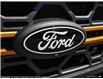 2025 Ford F-150 Tremor (Stk: S-354) in Calgary - Image 9 of 24