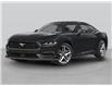 2024 Ford Mustang Dark Horse (Stk: 24104X) in Wilkie - Image 18 of 18