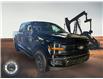 2025 Ford F-150 XLT (Stk: 25DFT030) in Drayton Valley - Image 1 of 12