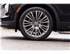 2024 Cadillac XT4 Premium Luxury (Stk: 25055A) in Ottawa - Image 3 of 25