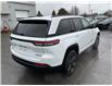 2023 Jeep Grand Cherokee Limited (Stk: 250396) in Kingston - Image 3 of 25