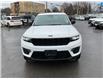 2023 Jeep Grand Cherokee Limited (Stk: 250396) in Kingston - Image 8 of 25
