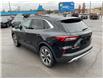 2023 Ford Escape Platinum (Stk: 250397) in Kingston - Image 5 of 25
