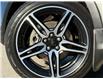 2019 Ford Escape SEL (Stk: 241377A1) in Vernon - Image 7 of 25