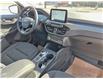 2025 Ford Escape Active (Stk: S76323) in Hague - Image 13 of 14