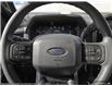 2025 Ford F-150 STX (Stk: XFP558) in Sarnia - Image 12 of 24