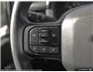 2025 Ford F-150 STX (Stk: XFP558) in Sarnia - Image 14 of 24