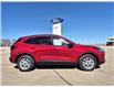 2025 Ford Escape Active (Stk: S91889) in Hague - Image 1 of 14