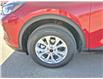 2025 Ford Escape Active (Stk: S91889) in Hague - Image 10 of 14