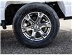 2022 Ford F-150 XLT (Stk: VF00303R) in Chatham - Image 12 of 30
