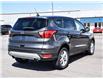 2019 Ford Escape SE (Stk: LKSP00268A) in Chatham - Image 6 of 28