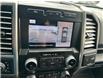 2019 Ford F-150 Platinum (Stk: 25059A) in Moosomin - Image 9 of 11