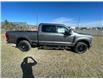 2025 Ford F-350 XLT (Stk: 25T4609) in Pincher Creek - Image 7 of 17