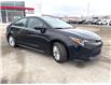 2022 Toyota Corolla  (Stk: P300873W) in Cranbrook - Image 7 of 22