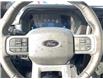 2025 Ford F-150 Lariat (Stk: VF1F00788) in Chatham - Image 16 of 22