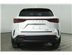 2025 Lexus NX 350 Base (Stk: 15104625) in Richmond Hill - Image 6 of 18