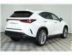 2025 Lexus NX 350 Base (Stk: 15104602) in Richmond Hill - Image 7 of 25