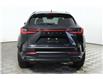 2025 Lexus NX 350h Base (Stk: 15104582) in Richmond Hill - Image 6 of 27