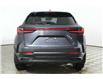 2025 Lexus NX 350h  (Stk: 15104603) in Richmond Hill - Image 6 of 27