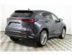 2025 Lexus NX 350h  (Stk: 15104603) in Richmond Hill - Image 7 of 27