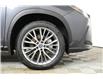 2025 Lexus NX 350h  (Stk: 15104603) in Richmond Hill - Image 8 of 27