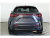 2025 Lexus NX 350h  (Stk: 15104471) in Richmond Hill - Image 6 of 11