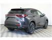 2025 Lexus NX 350h  (Stk: 15104471) in Richmond Hill - Image 7 of 11