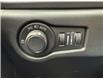 2025 Chrysler Grand Caravan SXT (Stk: VS067) in Elmira - Image 19 of 19