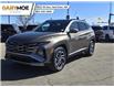 2025 Hyundai Tucson Hybrid  (Stk: 5TU5252) in Red Deer - Image 1 of 12