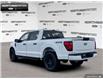 2025 Ford F-150 STX (Stk: 5F192403) in Brantford - Image 4 of 22
