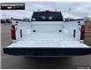 2025 Ford F-150 STX (Stk: 5F192403) in Brantford - Image 9 of 22