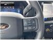 2025 Ford F-150 STX (Stk: 5F192403) in Brantford - Image 13 of 22