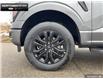 2025 Ford F-150 Lariat (Stk: 5F178071) in Brantford - Image 6 of 23