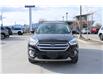 2019 Ford Escape SEL (Stk: 89403U) in Cranbrook - Image 10 of 28