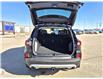 2025 Ford Escape Platinum (Stk: S63015) in Hague - Image 9 of 14