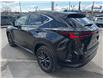 2025 Lexus NX 350h Base (Stk: 27960P) in Newmarket - Image 6 of 17