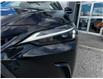 2025 Lexus NX 350h Base (Stk: 27960P) in Newmarket - Image 8 of 17